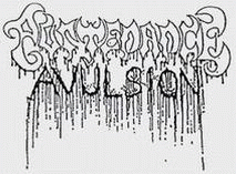 logo Purtenance Avulsion